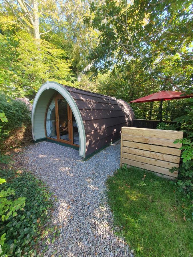 Priory Glamping Pods And Guest Accommodation Killarney Luaran gambar