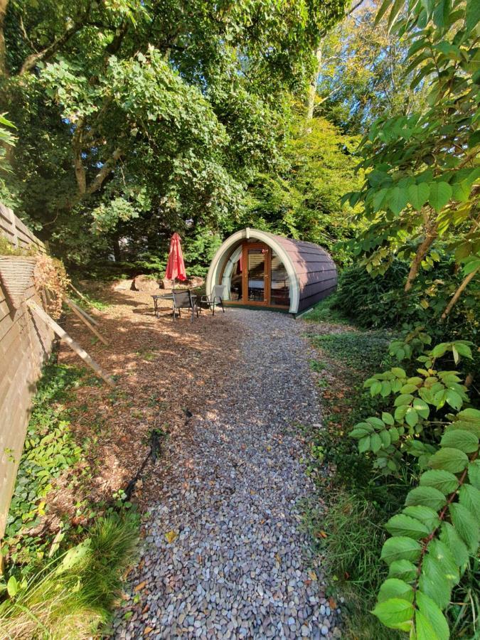 Priory Glamping Pods And Guest Accommodation Killarney Luaran gambar