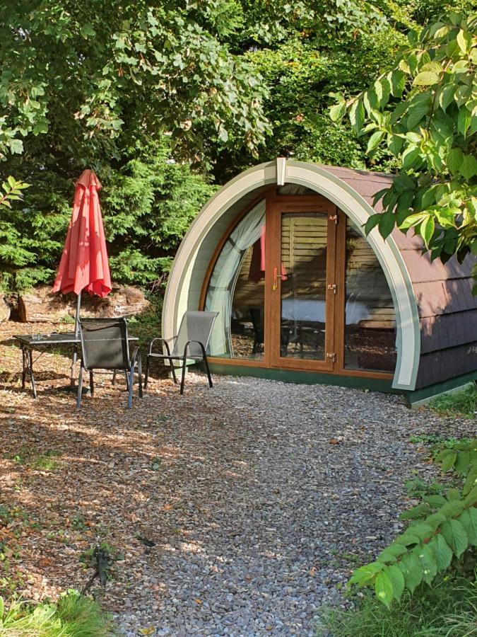 Priory Glamping Pods And Guest Accommodation Killarney Luaran gambar