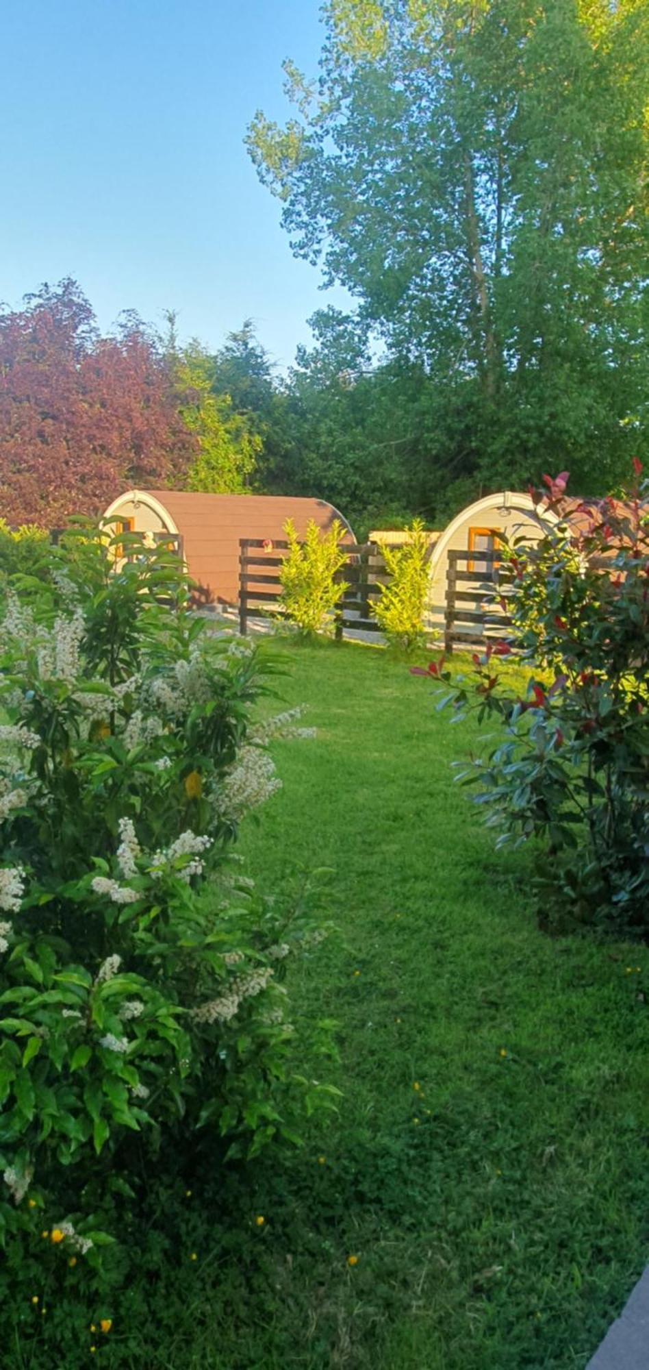 Priory Glamping Pods And Guest Accommodation Killarney Luaran gambar