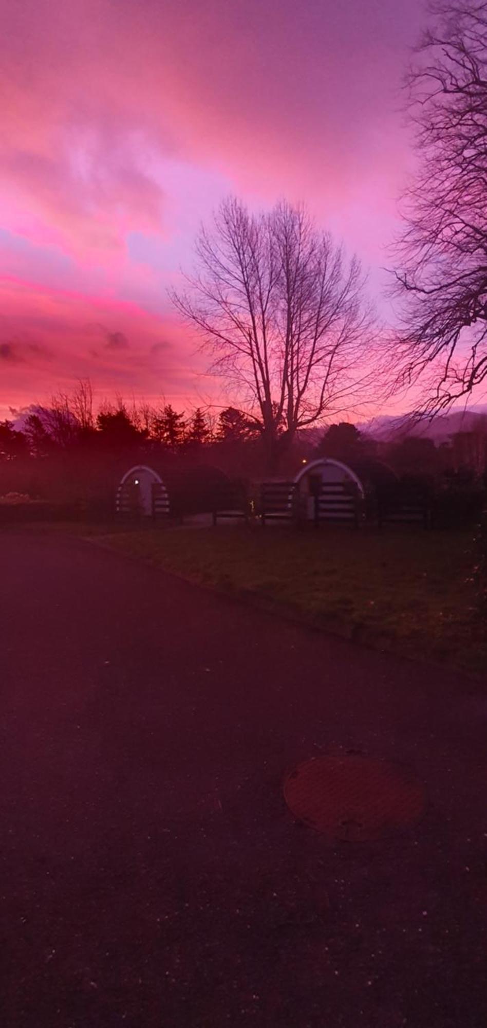 Priory Glamping Pods And Guest Accommodation Killarney Luaran gambar