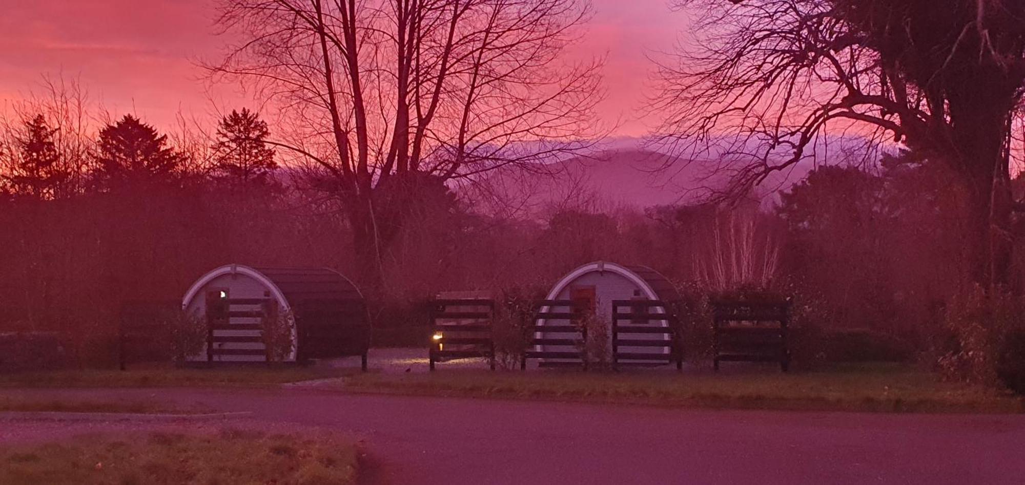 Priory Glamping Pods And Guest Accommodation Killarney Luaran gambar