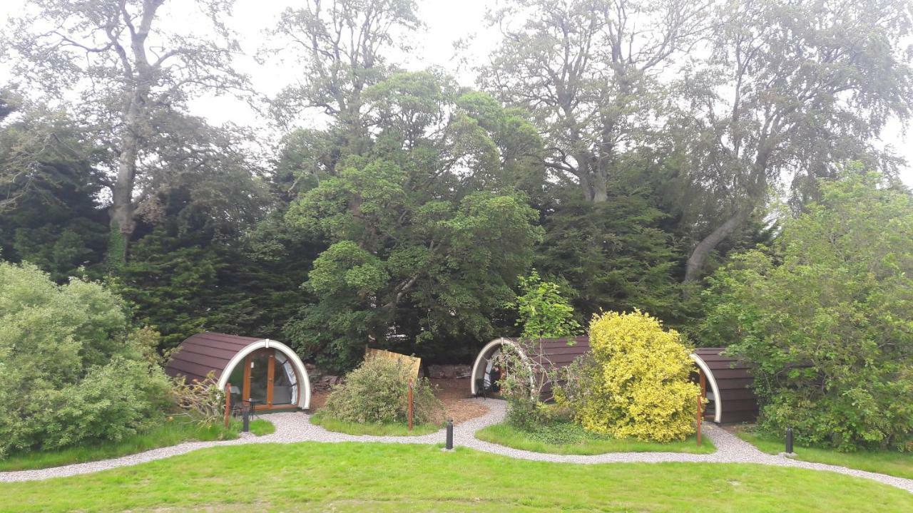 Priory Glamping Pods And Guest Accommodation Killarney Luaran gambar