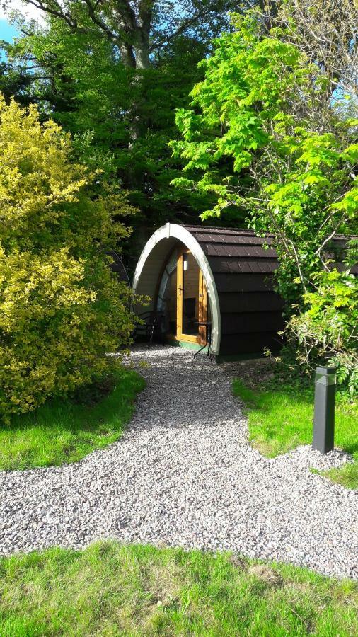 Priory Glamping Pods And Guest Accommodation Killarney Luaran gambar