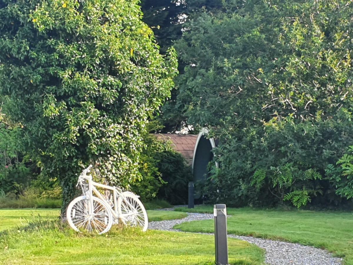 Priory Glamping Pods And Guest Accommodation Killarney Luaran gambar