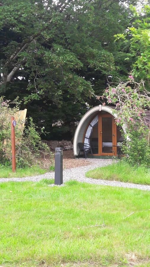 Priory Glamping Pods And Guest Accommodation Killarney Luaran gambar