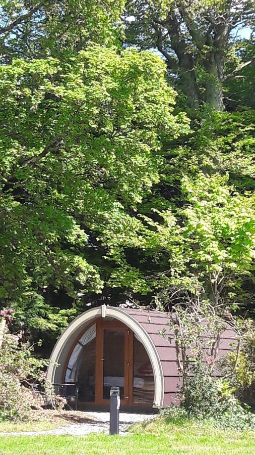 Priory Glamping Pods And Guest Accommodation Killarney Luaran gambar