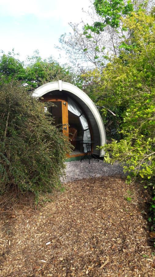 Priory Glamping Pods And Guest Accommodation Killarney Luaran gambar