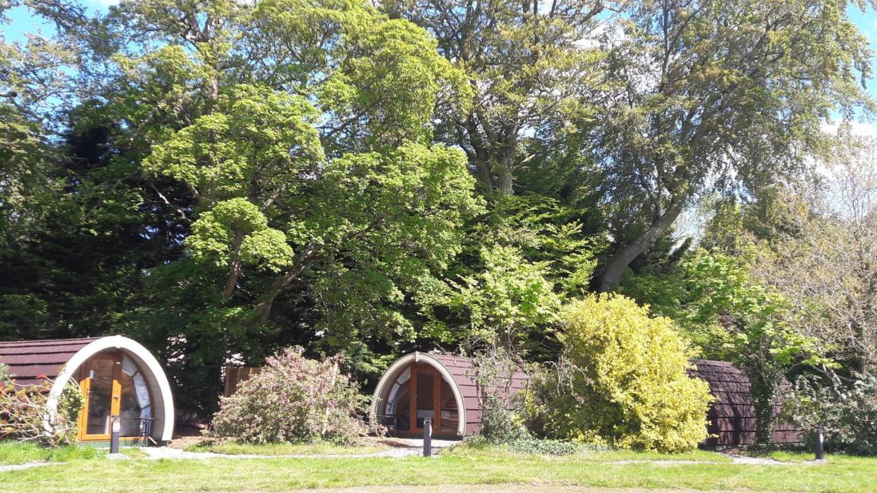 Priory Glamping Pods And Guest Accommodation Killarney Luaran gambar